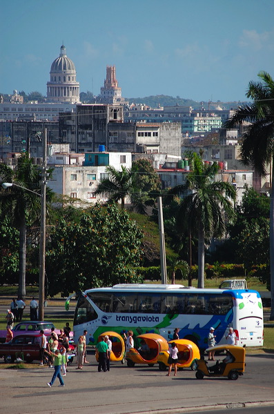 lahabana_105.jpg