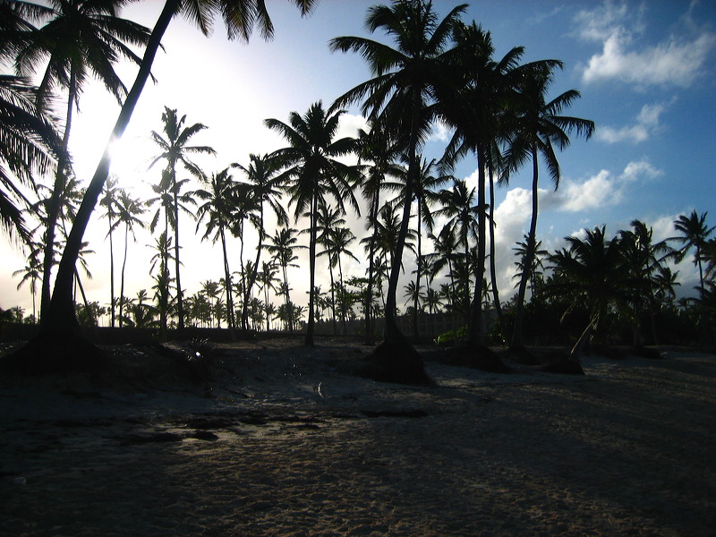 puntacana_061.jpg